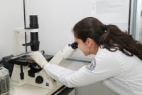 /album/ibop-laboratorio-/images-jpg/